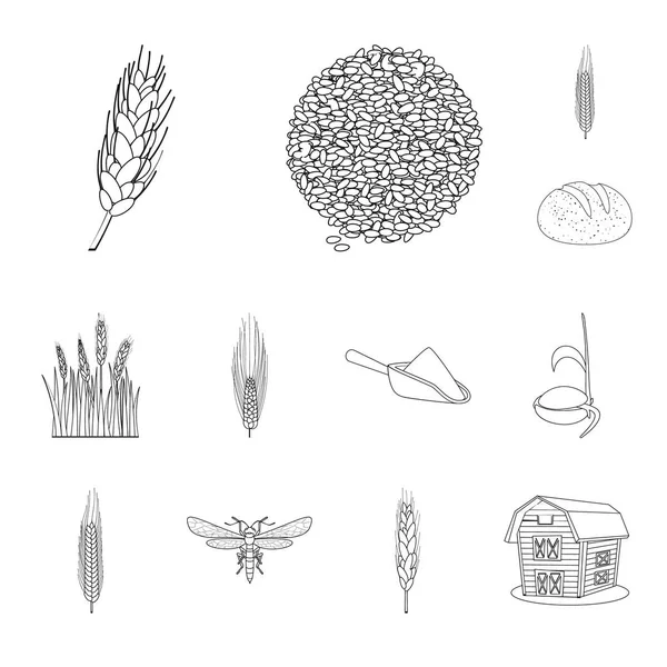 Ilustración vectorial del símbolo agrícola y agrícola. Conjunto de ilustración de vectores agrícolas y vegetales . — Archivo Imágenes Vectoriales