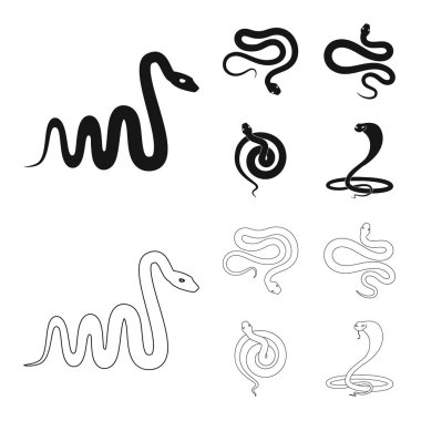 Mammal ve tehlike işareti yalıtılmış nesne. Memeli ve tıp hisse senedi simgesi web için kümesi.