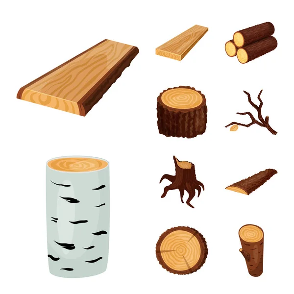 Projeto vetorial de tabuleta e ícone de madeira. Conjunto de tabuleta e símbolo de estoque de madeira para web . — Vetor de Stock