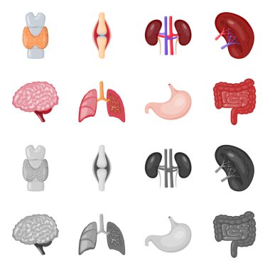 Biyoloji ve bilimsel logo vektör tasarımı. Biyoloji ve laboratuvar hisse senedi vektör çizim topluluğu.