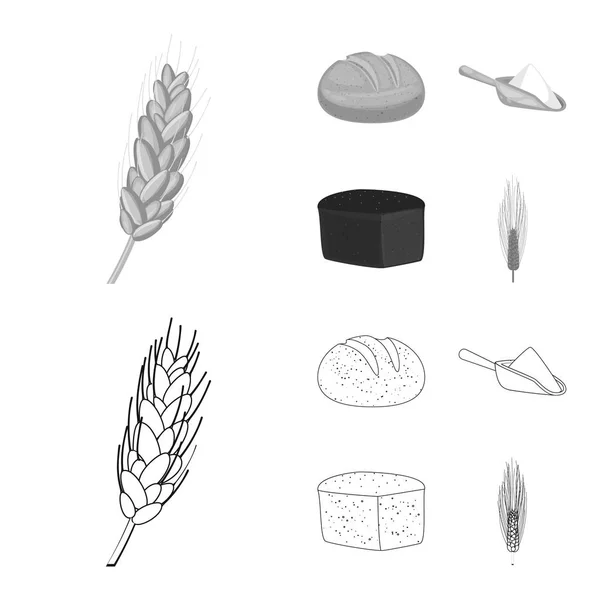 Векторная иллюстрация сельского хозяйства и сельскохозяйственного символа. Набор векторных иллюстраций для сельского хозяйства и растительного фонда . — стоковый вектор