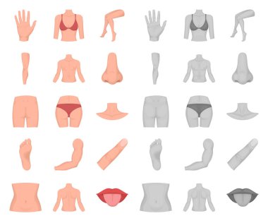 Vücut, bacak çizgi film, set koleksiyonu tasarım için mono simgeleri parçası. İnsan anatomisi vektör simge stok web çizimi.