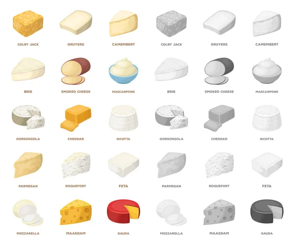 Diferentes tipos de dibujos animados de queso, iconos mono en la colección de conjuntos para design.Milk producto queso vector símbolo stock web ilustración . — Vector de stock