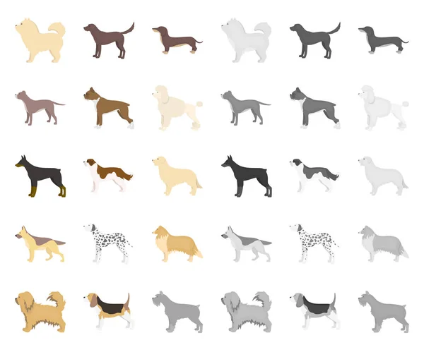 Perro razas de dibujos animados, iconos mono en la colección de conjuntos para design.Dog mascota vector símbolo stock web ilustración . — Vector de stock