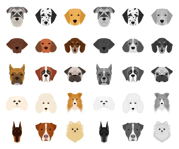 Perro razas de dibujos animados, iconos mono en la colección de conjuntos para design.Muzzle de un perro vector símbolo stock web ilustración . — Vector de stock