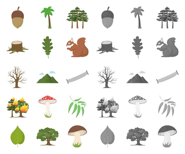 Δάσος και χαρακτήρα κινουμένων σχεδίων, μονο εικονίδια στη συλλογή σετ για σχεδιασμό. Δάσος ζωή διάνυσμα σύμβολο μετοχής web εικονογράφηση. — Διανυσματικό Αρχείο