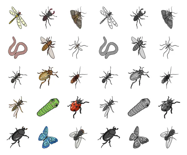 Verschiedene Arten von Insekten Cartoon, Mono-Symbole in Set-Sammlung für das Design. Insekt Arthropoden Vektor isometrisches Symbol Stock Web Illustration. — Stockvektor