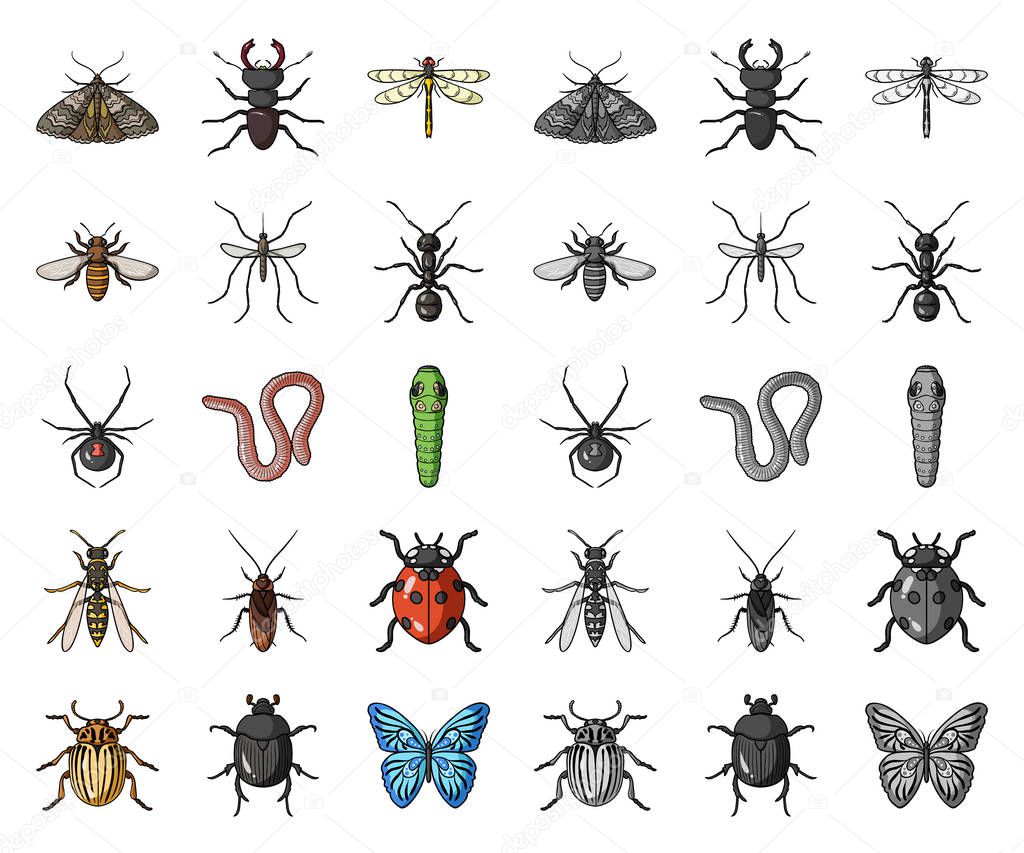 Different kinds of insects cartoon,mono icons in set collection for design. Insect arthropod vector symbol stock web illustration.