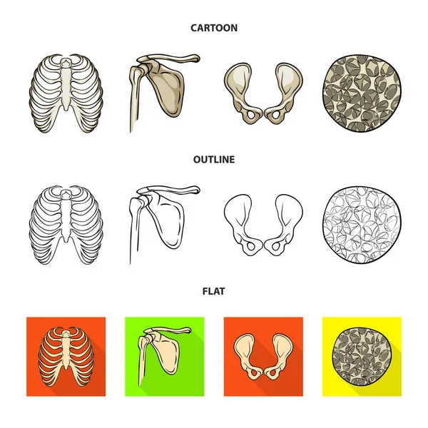 Ilustração vetorial da medicina e símbolo da clínica. Coleção de medicina e ícone de vetor médico para estoque . — Vetor de Stock