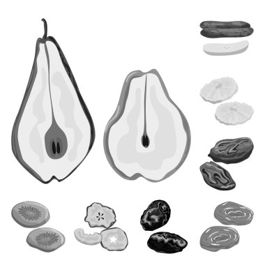 Vitamin ve doğa simge vektör Illustration. Vitamin ve web için kurutulmuş hisse senedi simgesi.