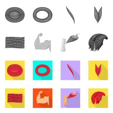 Lif ve kas sembolü yalıtılmış nesne. Set elyaf ve vücut hisse senedi vektör çizim.