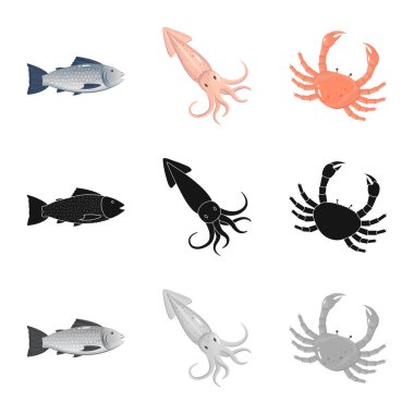 Taze ve restoran simge vektör Illustration. Taze ve deniz hisse senedi vektör çizim seti.