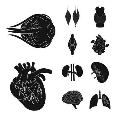 Araştırma ve laboratuvar işareti vektör Illustration. Hisse senedi için araştırma ve organ vektör simge topluluğu.