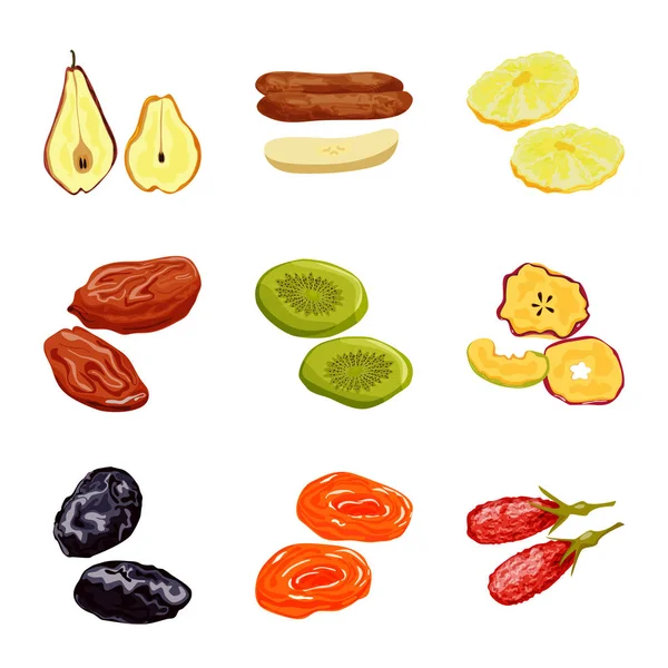 Geïsoleerde object van fruit en gedroogde symbool. Collectie van fruit en voedsel vector pictogram voor voorraad. — Stockvector