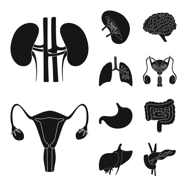 Illustrazione vettoriale del simbolo della ricerca e del laboratorio. Set di icone vettoriali di ricerca e organi per stock . — Vettoriale Stock
