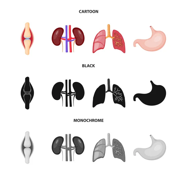 Illustration vectorielle de la biologie et signe scientifique. Collection de biologie et stock de laboratoire symbole pour le web . — Image vectorielle