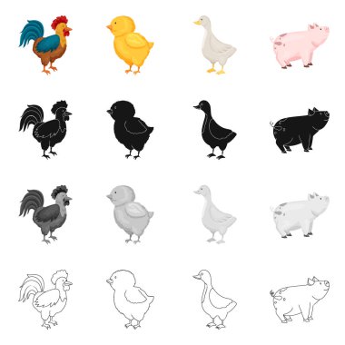 Üreme ve mutfak işareti tasarımı vektör. Koleksiyon ıslahının ve organik vektör hisse senedi simgesi.