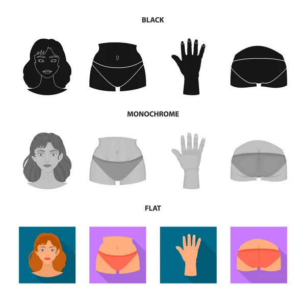 Illustrazione vettoriale del corpo e segno parziale. Set di corpo e anatomia stock symbol per web . — Vettoriale Stock