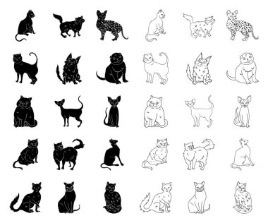 Doğurmak-in cats siyah, set koleksiyonu tasarım için simgeleri anahat. Evde beslenen hayvan kedi vektör simge stok web çizim.