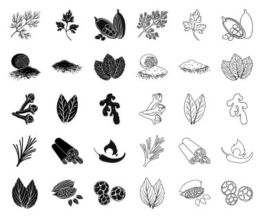 Ot ve baharat siyah, anahat set koleksiyonu tasarım için simgeler. Baharat çeşitleri simge stok web illüstrasyon vektör.