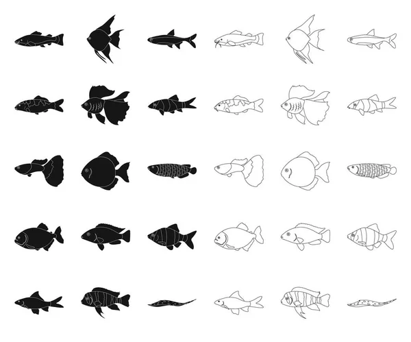 Verschiedene Arten von Fisch schwarz, umreißen Symbole in Set-Kollektion für Design. Meeres- und Aquarienfische Vektor Symbol Stock Web Illustration. — Stockvektor