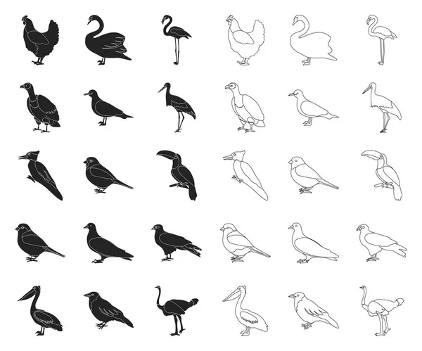 Tipos de aves negro, iconos de contorno en la colección de conjuntos para el diseño. Inicio y aves silvestres vector símbolo stock web ilustración . — Archivo Imágenes Vectoriales