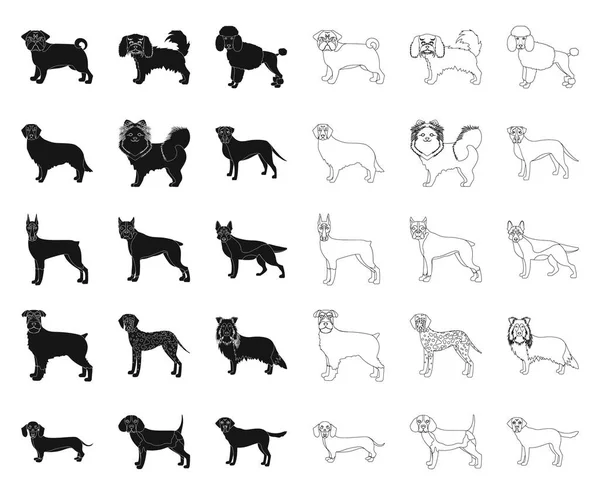 Perro razas negro, iconos de contorno en la colección de conjuntos para design.Dog mascota vector símbolo stock web ilustración . — Vector de stock