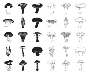 Poisonous and edible mushroom black,outline icons in set collection for design. Different types of mushrooms vector symbol stock web illustration. clipart