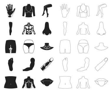 Bölüm gövdesini uzuv siyah, set koleksiyonu tasarım için simgeleri anahat. İnsan anatomisi vektör simge stok web çizimi.