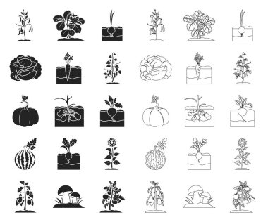 Bitki, sebze siyah, set koleksiyonu tasarım için anahat simgeleri. Bahçe ve hasat sembol stok web illüstrasyon vektör.