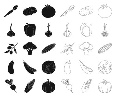 Sebze siyah, set koleksiyonu tasarım için anahat simgeleri farklı türde. Sembol stok web illüstrasyon vektör sebze ve vitaminler.