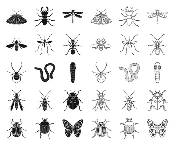 Diferentes tipos de insetos pretos, ícones de contorno na coleção de conjuntos para design. Inseto artrópode vetor símbolo web ilustração . — Vetor de Stock