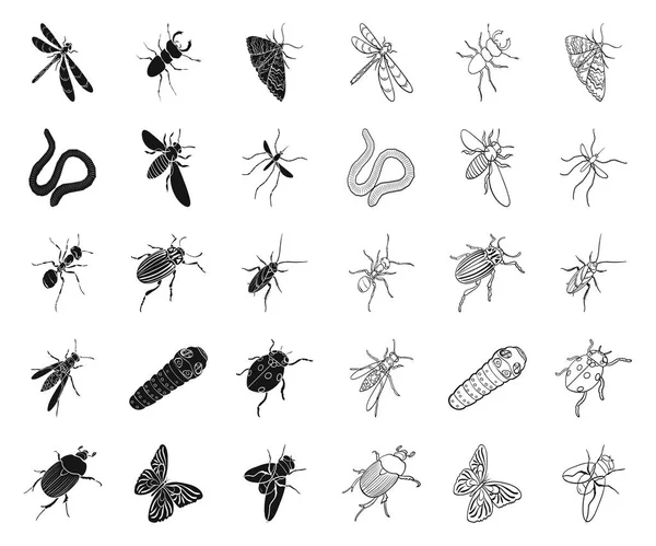 Different kinds of insects black,outline icons in set collection for design. Insect arthropod vector isometric symbol stock web illustration. — Stock Vector