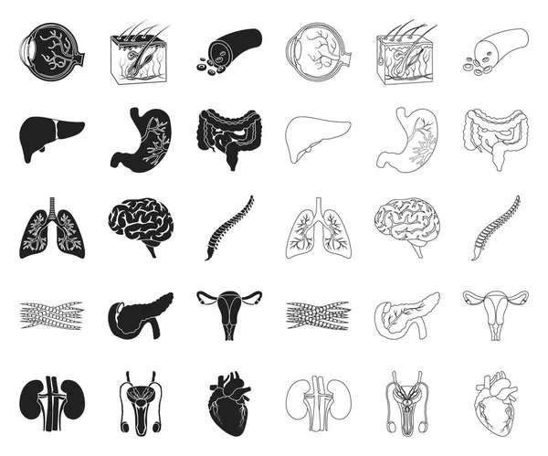 Inwendige organen van een menselijke zwart, overzicht pictogrammen in set collectie voor design. Anatomie en geneeskunde symbool voorraad web vectorillustratie. — Stockvector