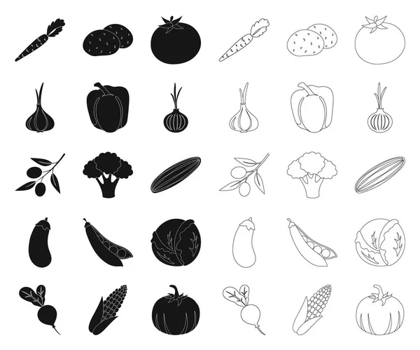 Verschillende soorten groenten zwart, overzicht pictogrammen in set collectie voor design. Groenten en vitaminen vector symbool voorraad web illustratie. — Stockvector