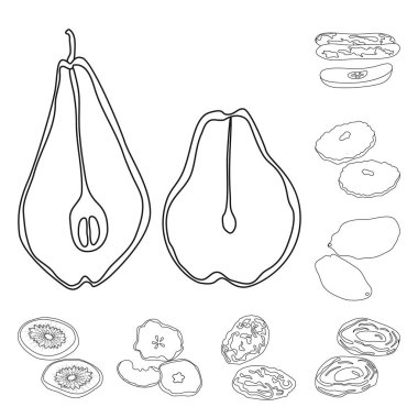 Gıda ve ham simge vektör tasarımı. Gıda kümesi ve hisse senedi için doğa vektör simgesi.