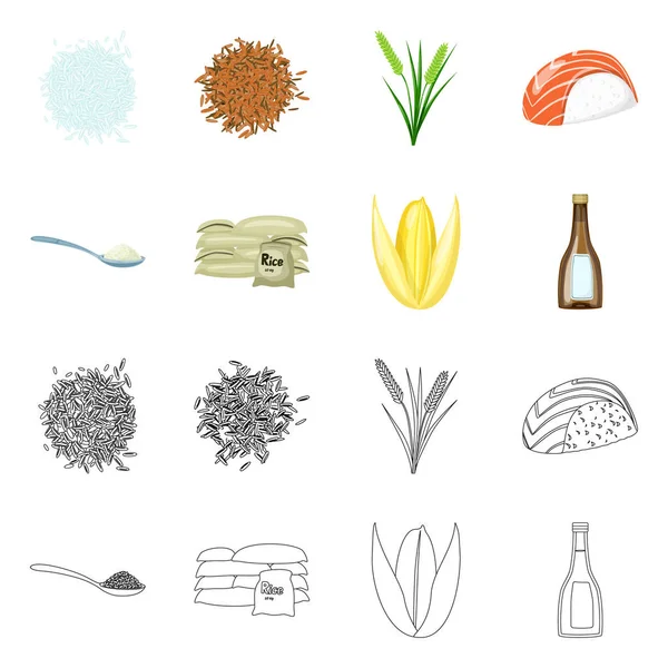 Vectorillustratie van gewas- en ecologische symbool. Collectie van gewas- en koken vector pictogram voor voorraad. — Stockvector