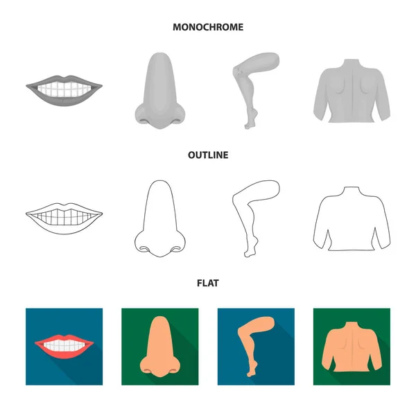 Ilustración vectorial del cuerpo y parte icono. Colección de cuerpo y anatomía símbolo de stock para web . — Vector de stock