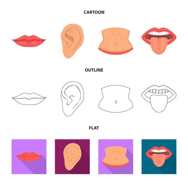 Projeto vetorial de corpo e sinal de parte. Coleção de corpo e anatomia vetor ícone para estoque . — Vetor de Stock