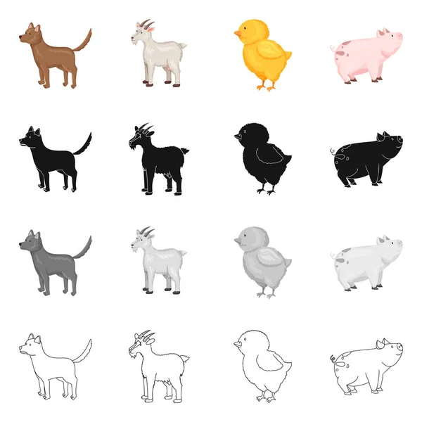 Illustration vectorielle de l'élevage et symbole de cuisine. Ensemble d'icônes vectorielles de reproduction et biologiques pour le stock . — Image vectorielle