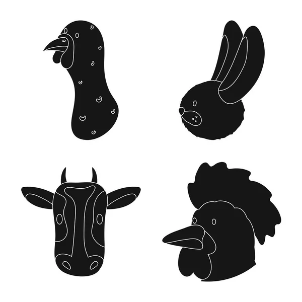 Objet isolé du ranch et icône organique. Ensemble d'illustration vectorielle ranch et tête de bétail . — Image vectorielle