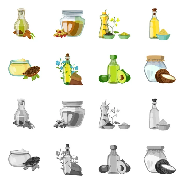 Illustrazione vettoriale di icona sana e vegetale. Set di sano e agricoltura stock simbolo per il web . — Vettoriale Stock