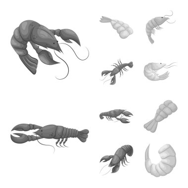 Yengeç ve meze logo vektör tasarımı. Yengeç ve deniz hisse senedi simgesi için web topluluğu.