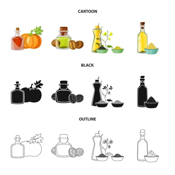Objeto aislado de icono saludable y vegetal. Colección de símbolo de stock saludable y agrícola para la web . — Vector de stock