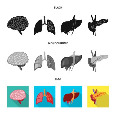Biyoloji ve bilimsel işareti yalıtılmış nesne. Hisse senedi için biyoloji ve laboratuvar vektör simge topluluğu.