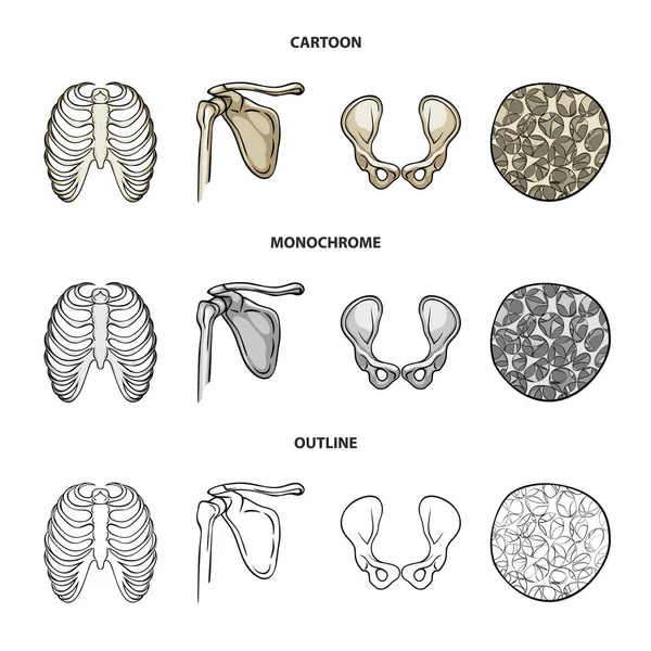 Ilustração vetorial da medicina e logotipo da clínica. Conjunto de medicina e vetor médico ícone para estoque . — Vetor de Stock