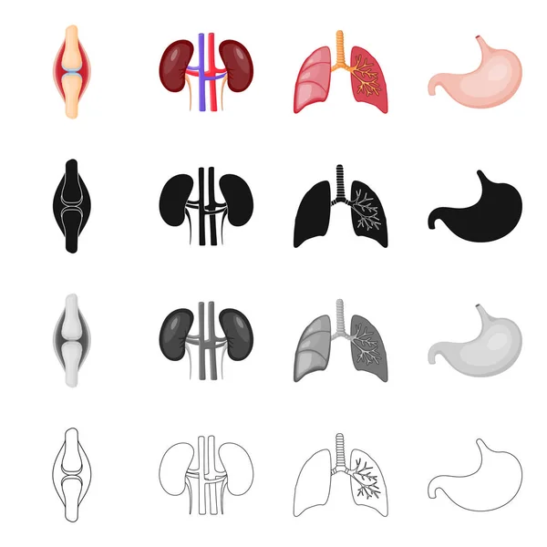 Illustration vectorielle de la biologie et icône scientifique. Collection de biologie et illustration vectorielle de stock de laboratoire . — Image vectorielle