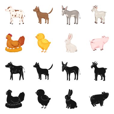 Üreme ve mutfak işareti tasarımı vektör. Set ıslahının ve organik web için hisse senedi simgesi.