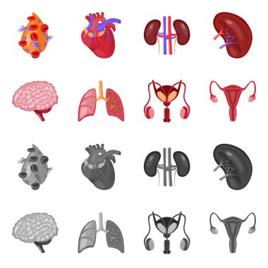 Biyoloji ve bilimsel simge vektör tasarımı. Hisse senedi için biyoloji ve laboratuvar vektör simge kümesi.