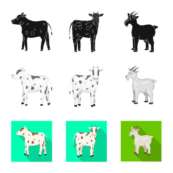 Progettazione vettoriale di allevamento e segno della cucina. Set di simboli di allevamento e di allevamento biologico per il web . — Vettoriale Stock